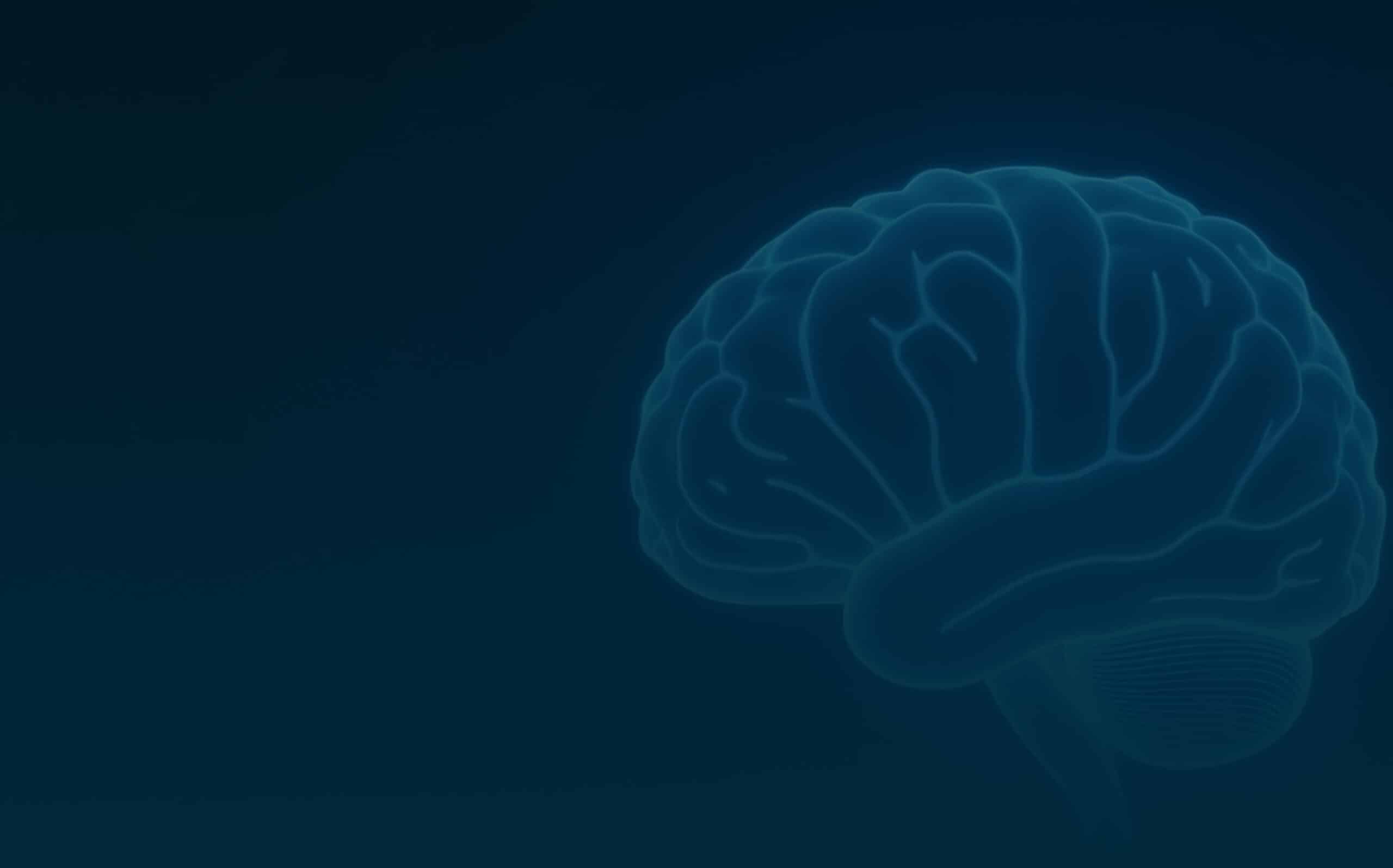 Servicios de Inteligencia Artificial